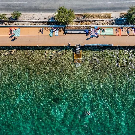 Momenta Maris 扎达尔